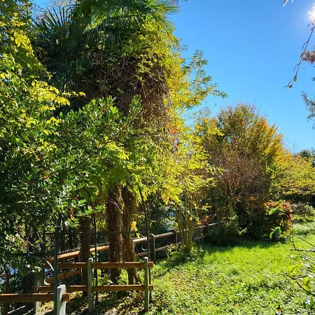 Bella Vista Maggiore Einzigartiger Blick 365 Tagen