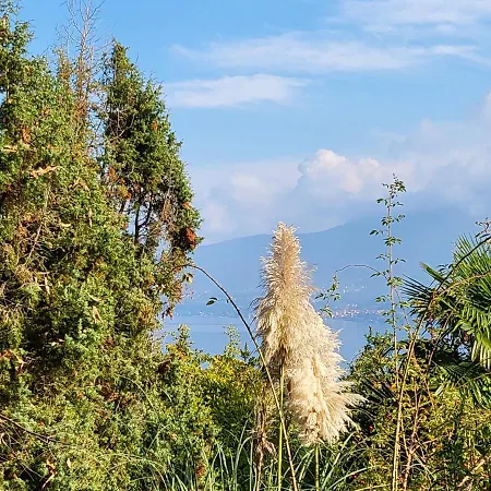 公寓 Bella Vista Maggiore Einzigartiger Blick 365 Tagen