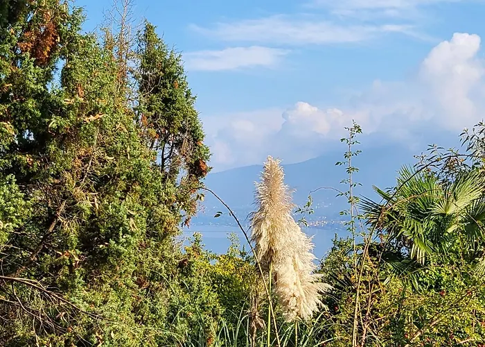 Lejlighed Bella Vista Maggiore Einzigartiger Blick 365 Tagen